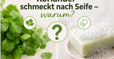 Koriander schmeckt nach Seife – warum? 🌿🧼