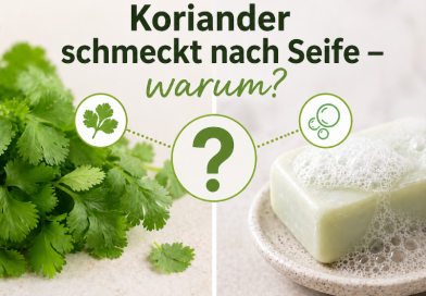 Koriander schmeckt nach Seife – warum? 🌿🧼